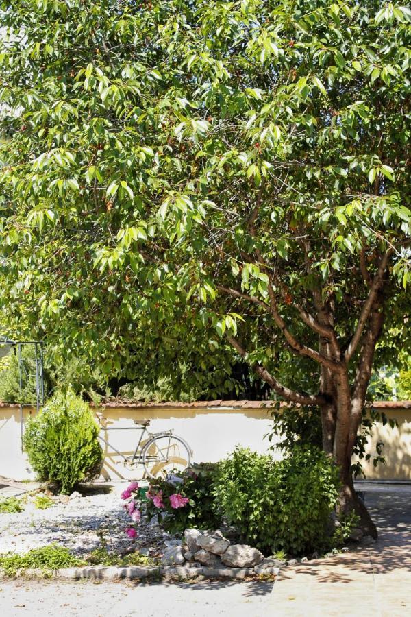 Zsh Apartment Ohrid Luaran gambar